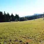 Cozy Forest Adventure