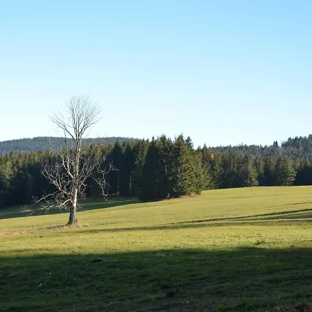 Prázdninový dům Cozy Forest Adventure Železná Ruda