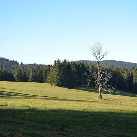 Cozy Forest Adventure Prázdninový dům *