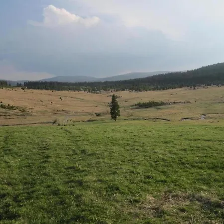 Beautiful In Bohemian Near Forest Ferienhaus Železná Ruda