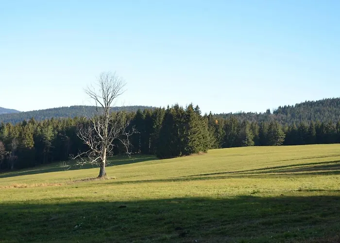 Feriehus Cozy Forest Adventure Železná Ruda