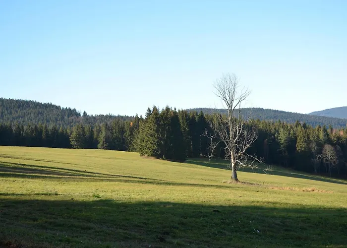 Cozy Forest Adventure Feriehus *